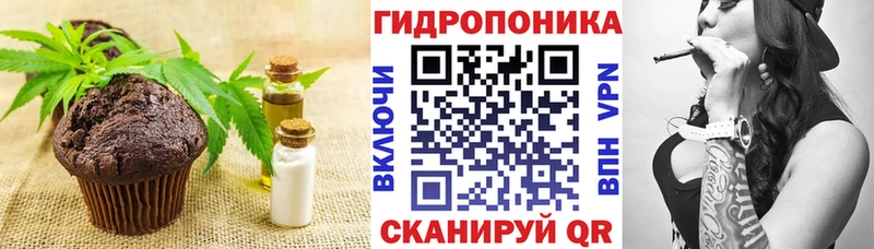 Canna-Cookies марихуана  Купить закладки  Мурино 