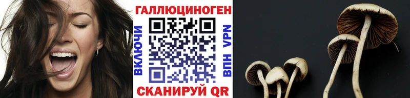 Галлюциногенные грибы мухоморы  Купить где  Мурино 