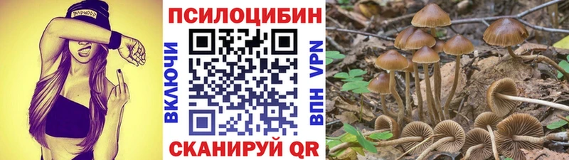 Галлюциногенные грибы ЛСД Мурино
